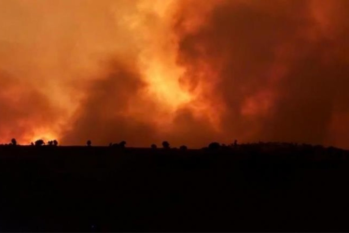 Diyarbakır ve Mardin arasındaki bölgede çıkan yangında yaşamını yitirenlerin sayısı 15'e yükseldi.